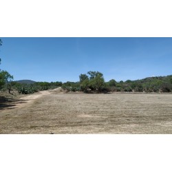 "Terreno en venta en San Agustin Tlaxiaca, Hidalgo"