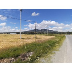 Terreno en venta sobre la carretera Pachuca - Sahágun, Hidalgo