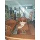 SE VENDE CASA EN APAN, HIDALGO, UBICADA EN LA COLONIA SAN RAFAEL.
