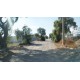Terreno en venta en El Saucillo, Mineral de la Reforma Hidalgo