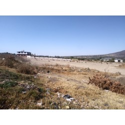 SE VENDE TERRENO EN TLANALAPA, HIDALGO.