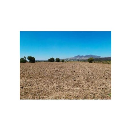 SE VENDEN 4 HECTÁREAS EN CHIMALPA, HIDALGO.