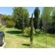 SE VENDE PRECIOSA CASA DE DESCANSO EN EL POBLADO DE ACAYUCA, HGO.