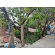 SE VENDE BONITA CASA EN LA COLONIA CARLOS ROVIROSA EN PACHUCA.