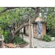 SE VENDE BONITA CASA EN LA COLONIA CARLOS ROVIROSA EN PACHUCA.
