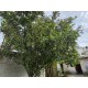 SE VENDE BONITA CASA EN LA COLONIA CARLOS ROVIROSA EN PACHUCA.