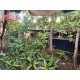 SE VENDE BONITA CASA EN LA COLONIA CARLOS ROVIROSA EN PACHUCA.